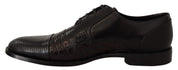 Dolce & Gabbana Elegant Black Derby Oxford Wingtips