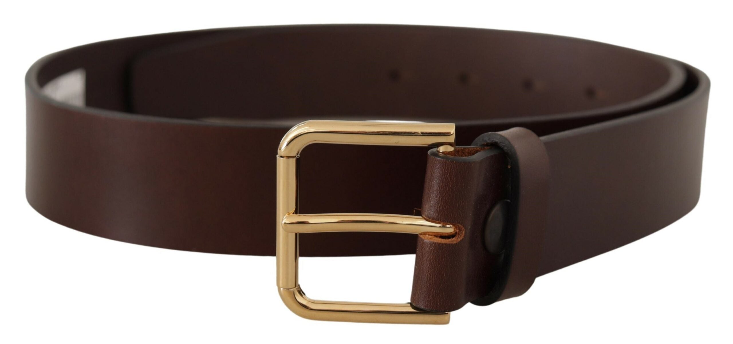 Dolce & Gabbana Elegant Dark Brown Leather Belt