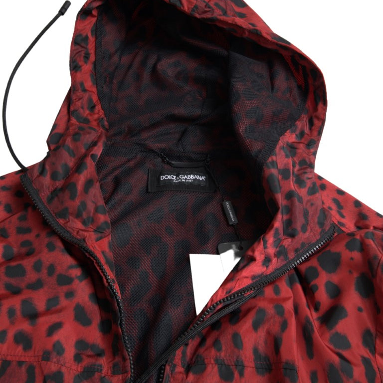 4318066.jpg