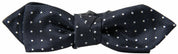 Dolce & Gabbana Elegant Blue Silk Bow Tie