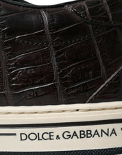 Dolce & Gabbana Elegant Exotic Leather Low-Top Sneakers