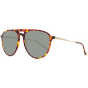 Hackett Brown Acetate Sunglasses