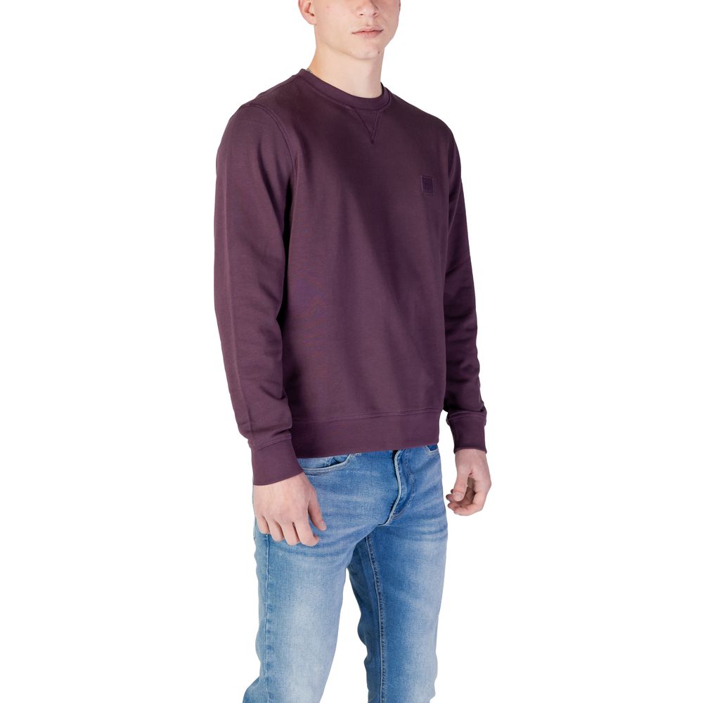 Hugo Boss Purple Cotton Sweater