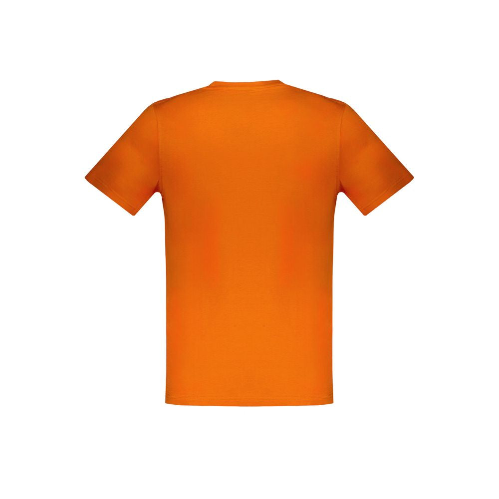 7127523.jpg