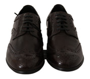 Dolce & Gabbana Brown Leather Broques Oxford Wingtip Shoes