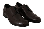 Dolce & Gabbana Brown Leather Broques Oxford Wingtip Shoes