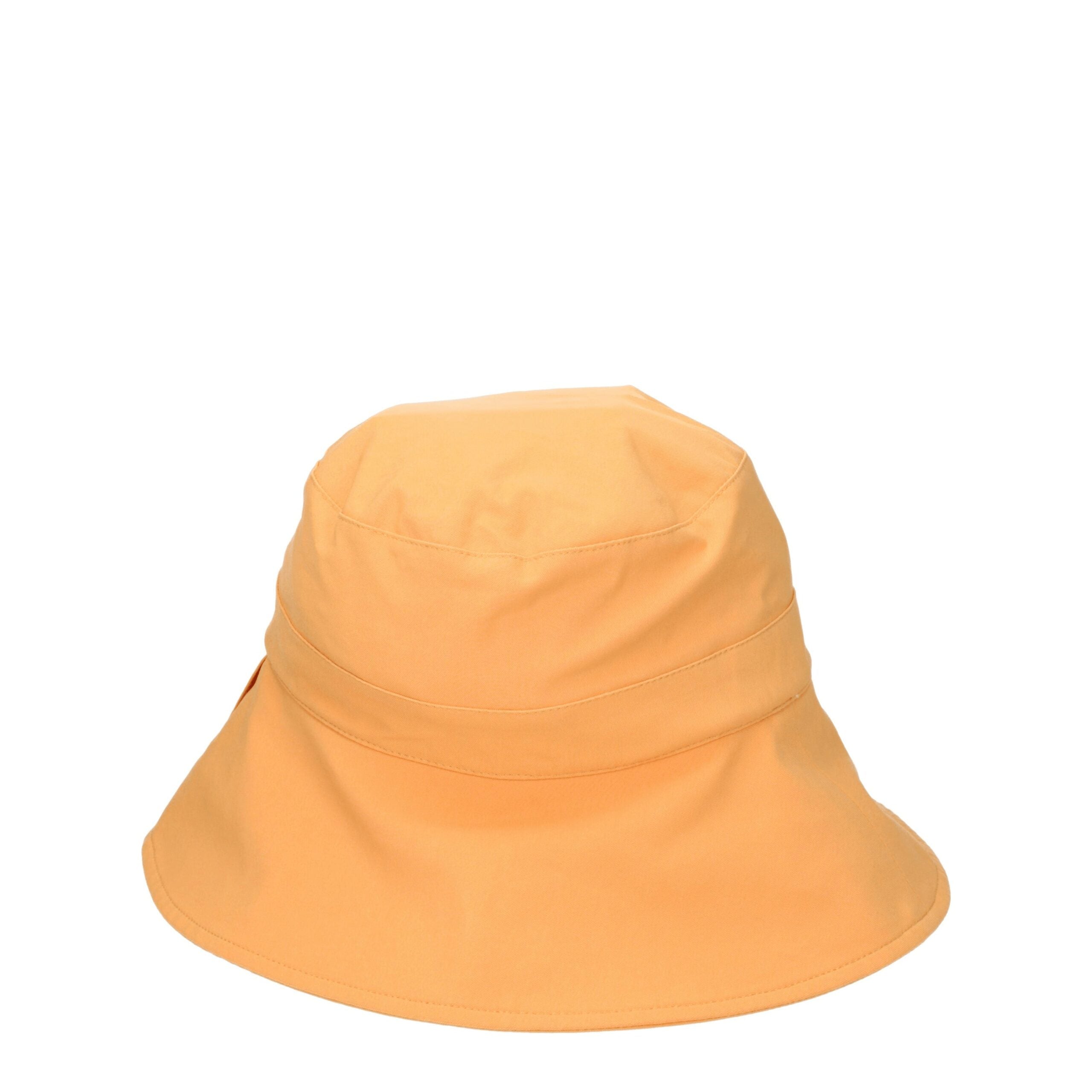 8337081.jpg