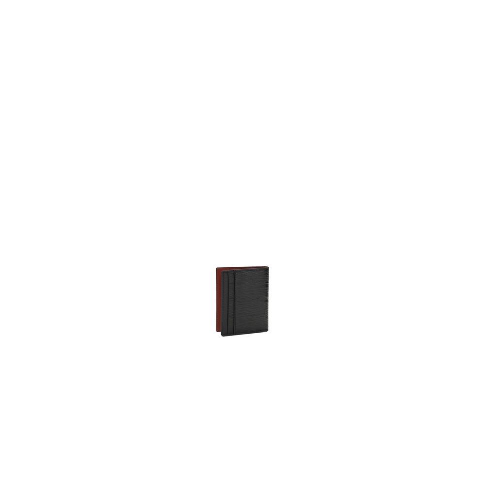 8428977.jpg