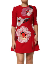 Dolce & Gabbana Red Lace Floral Applique A-line Mini Dress