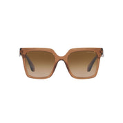 Giorgio Armani Brown Acetate Sunglasses