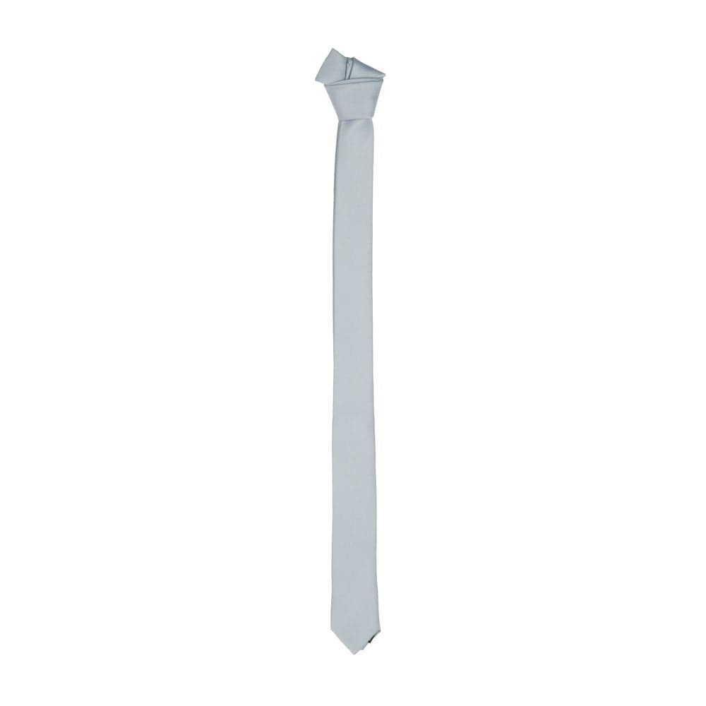 Emilio Romanelli Dress Shirts Emilio Romanelli Sleek Silk Slim Tie in Chic Gray