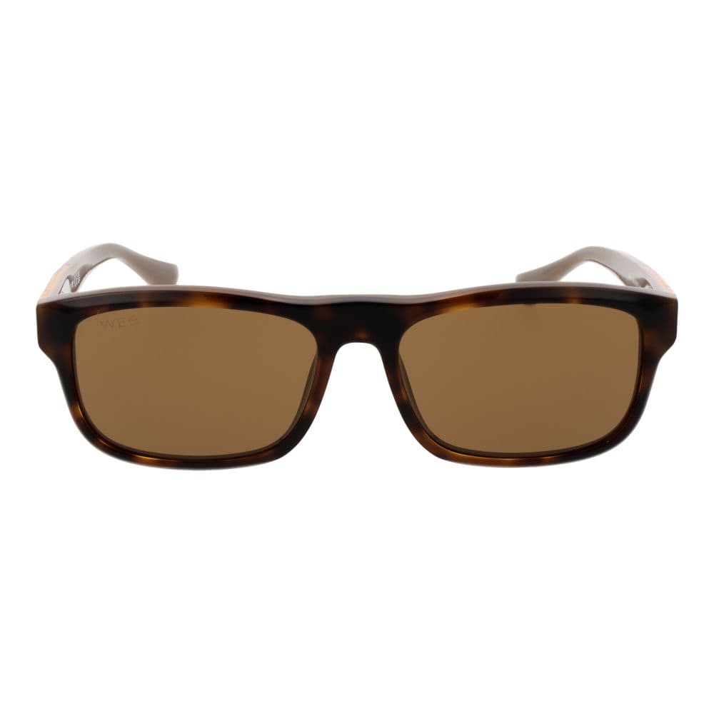 Web Web Brown Men Sunglasses