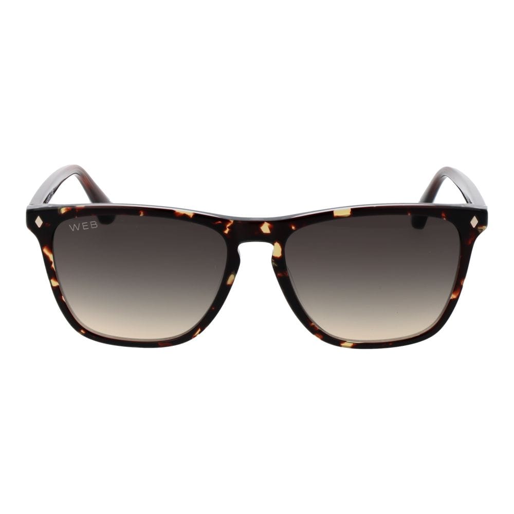Web Web Brown Men Sunglasses